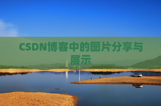 CSDN博客中的图片分享与展示